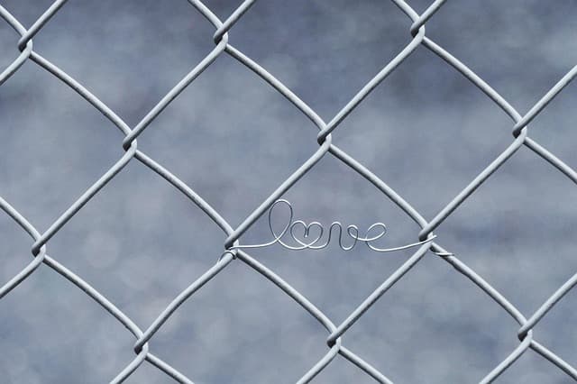 Comment établir un réseau solide en Belgique : étapes clés